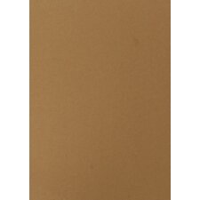 pavo Einbanddeckel ECO DIN A4 sand