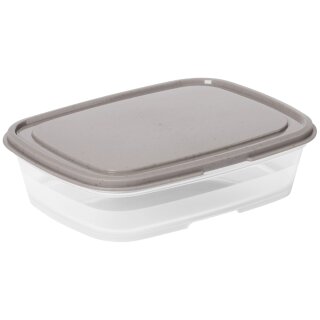 smartstore Frischhaltebox 0,8 Liter grau / transparent