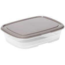 smartstore Frischhaltebox 0,8 Liter grau / transparent