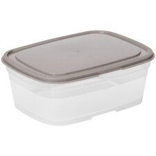 smartstore Frischhaltebox 0,8 Liter grau / transparent