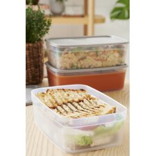 smartstore Frischhaltebox 0,8 Liter grau / transparent