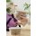 smartstore Frischhaltebox 0,8 Liter grau / transparent