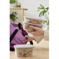 smartstore Frischhaltedose 1,0 Liter grau / transparent