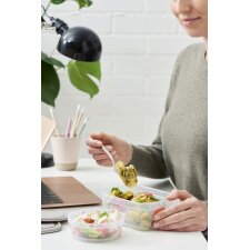 smartstore Frischhaltedose 1,6 Liter grau / transparent