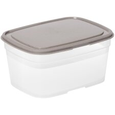 smartstore Frischhaltedose 2,2 Liter grau / transparent