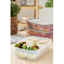 smartstore Frischhaltedose 2,2 Liter grau / transparent
