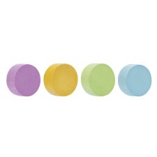 magnetoplan Neodym-Magnete Wood Series Circle farbig