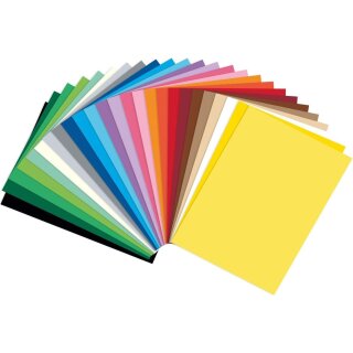 folia Tonkarton (B)500 x (H)700 mm 220 g/qm sortiert 25 Blatt