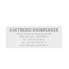COLOP Textstempel Printer 40 Green Line 6-zeilig Gutschein