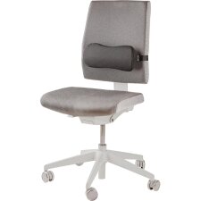 Fellowes Lendenkissen Breyta schwarz