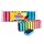 Spontex Reinigungsschwamm Colors 10er Pack