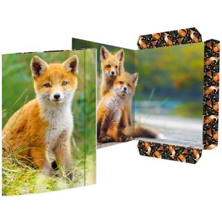 RNK Verlag Zeichnungsmappe "Fuchs" Karton DIN A3