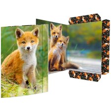 RNK Verlag Zeichnungsmappe "Fuchs" Karton DIN A3
