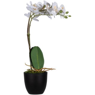 PAPERFLOW Kunstpflanze "Orchidee" weiß Höhe: 400 mm