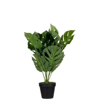 PAPERFLOW Kunstpflanze "Monstera" Höhe: 450 mm