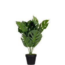 PAPERFLOW Kunstpflanze "Monstera" Höhe:...