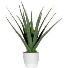 PAPERFLOW Kunstpflanze "Aloe Vera" Höhe:...