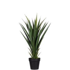 PAPERFLOW Kunstpflanze "Yucca" Höhe: 600 mm