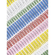 folia Holzklammern-Mix BASIC Jumbobox 500 g