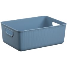 NHG Aufbewahrungsbox AKITA STORAGE M PP blau