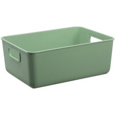 NHG Aufbewahrungsbox AKITA STORAGE M PP grün
