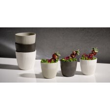 APS Schale LINEO 180 ml weiß 6er Set