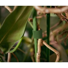 Bradas Klett-Bindeband 9,5 mm x 5 m grün
