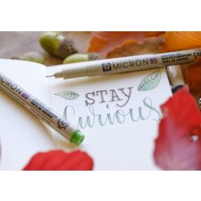 SAKURA Fineliner PIGMA MICRON 05 Erdfarben 6er Etui