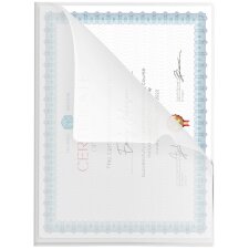 pavo Sichthülle DIN A4 PP 0,10 mm genarbt transparent