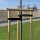 Bradas Baum-Bindeband PP 50 mm x 25 m schwarz