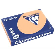 Clairefontaine Multifunktionspapier Trophée A4 120...