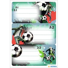 HERMA Buchetiketten VARIO "Street Soccer" 76 x...