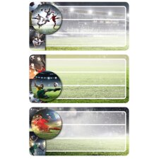 HERMA Buchetiketten VARIO "Sport" 76 x 35 mm