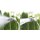 Bradas Gartendusche mit Erdspieß & Stativ 1.750 - 2.300 mm weiß/grau