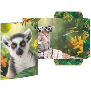RNK Verlag Zeichnungsmappe "Lemur" Karton DIN A3