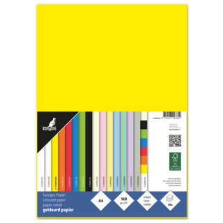 kangaro Multifunktionspapier DIN A4 160 g/qm gelb 50 Blatt