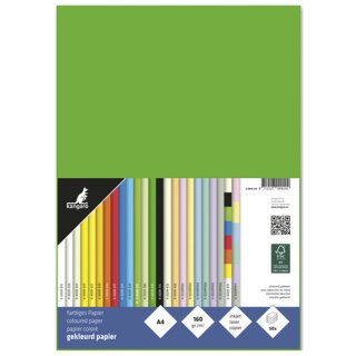 kangaro Multifunktionspapier DIN A4 160 g/qm grün 50 Blatt