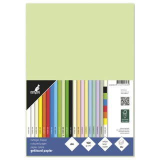 kangaro Multifunktionspapier DIN A4 160 g/qm helles grün 50 Blatt