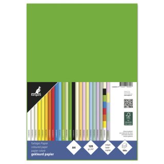 kangaro Multifunktionspapier DIN A4 120 g/qm grün 100 Blatt