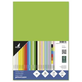 kangaro Multifunktionspapier DIN A4 120 g/qm hellgrün 100 Blatt