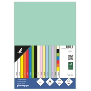 kangaro Multifunktionspapier DIN A4 120 g/qm pastellgrün 100 Blatt