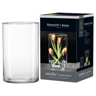 Ritzenhoff & Breker Blumenvase AMALIA transparent