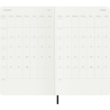 MOLESKINE Buchkalender 2027 Tage L/A5 Softcover grün
