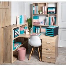 EXACOMPTA Schubladenbox BIG-BOX MAXI SKANDI 6 Schübe