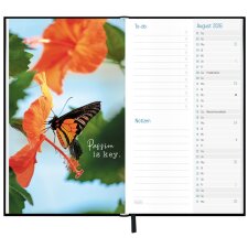Häfft Jugendkalender Timer slim "Dainty...