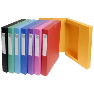 EXACOMPTA Sammelbox Rückenbreite: 40 mm gelb