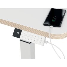 LEITZ Rollensatz für Sitz-Steh-Schreibtisch 6534...