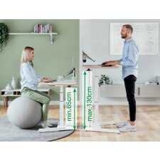 LEITZ Rollensatz für Sitz-Steh-Schreibtisch 6534 hellgrau